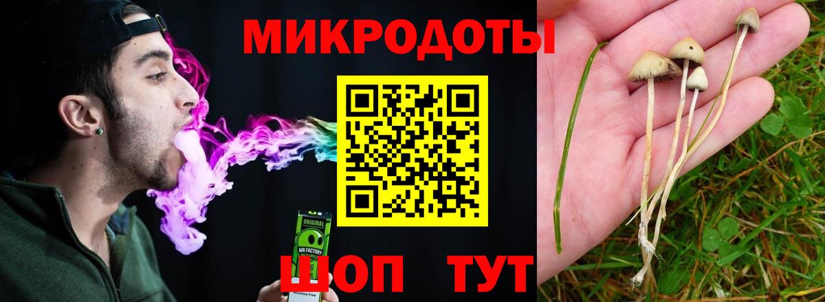 Псилоцибиновые грибы прущие грибы Нововоронеж